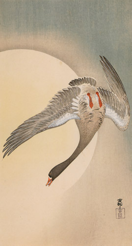 Greater White-fronted Goose with Moon [Ohara Koson,  from Hanga Geijutsu no.181]