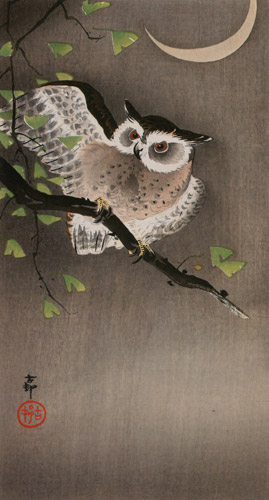 Horned Owl on Ginkgo Branch and Crescent Moon [Ohara Koson,  from Hanga Geijutsu no.181]