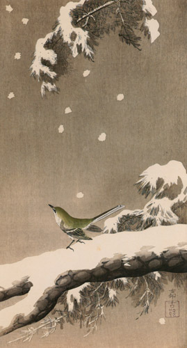 Japanese Bush Warbler on Snowy Pine [Ohara Koson,  from Hanga Geijutsu no.181]