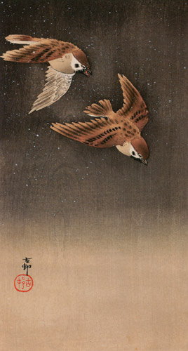 Sparrows in Snow [Ohara Koson,  from Hanga Geijutsu no.181]