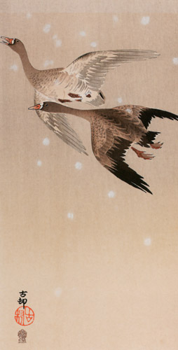Greater White-fronted Goose Flying in the Snow [Ohara Koson,  from Hanga Geijutsu no.181]