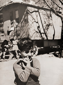 トローヌの市 [イジス, アサヒカメラ 1954年2月号より]のサムネイル画像