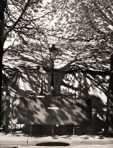 トローヌ通り [イジス, アサヒカメラ 1954年2月号より]のサムネイル画像