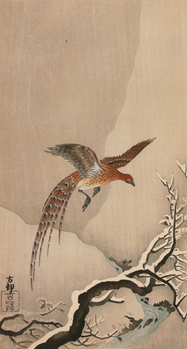 Copper Pheasant in Snow [Ohara Koson, from Hanga Geijutsu no.181]