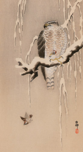 Goshawk and Sparrows [Ohara Koson,  from Hanga Geijutsu no.181]