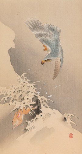 Northern Goshawk Chasing a Rabbit [Ohara Koson,  from Hanga Geijutsu no.181]