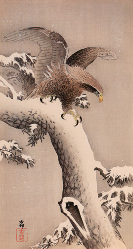 White-tailed Eagle on Snowy Pine [Ohara Koson,  from Hanga Geijutsu no.181]
