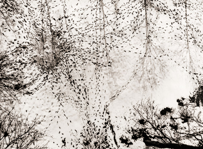 冬 [ジョルジュ・ビヨロン, アサヒカメラ 1956年4月号より] パブリックドメイン画像 