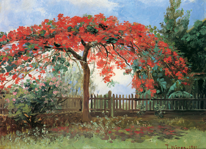 花咲く木（ホノルル） [セオドア・ウォレス, 1901年, セオドア・ウォレス展：帰ってきた日本の美より] パブリックドメイン画像 