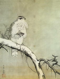Hawk [Kanzan Shimomura, 1886, from TAIKAN and KANZAN] Thumbnail Images