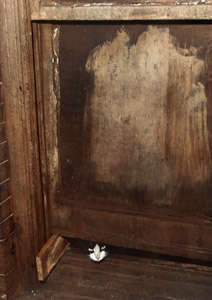 無題（ドアの隙間から顔を出した猫） [イーラ, 85枚の猫より]のサムネイル画像