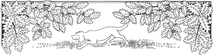 挿絵11 (植物と犬） [ジビュレ・フォン オルファース, うさぎのくにへより] パブリックドメイン画像 