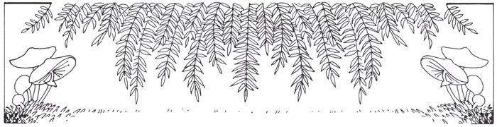 挿絵1 (植物と茸） [ジビュレ・フォン オルファース, うさぎのくにへより] パブリックドメイン画像 