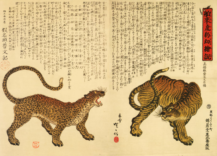 Illustrated account of a tiger and a leopard from abroad for young readers [Kawanabe Kyosai, 1860, from This is Kyōsai!]