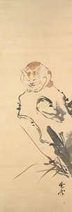 Cat asleep on a rock [Kawanabe Kyosai, 1871-1889, from This is Kyōsai!] Thumbnail Images
