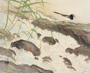 Four Water Themes: A Wagtail [Kawai Gyokudō, 1953, from Kawai Gyokudo: in commemoration of the 50th anniversary of his passing] Thumbnail Images