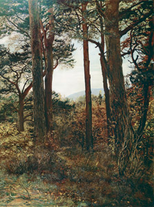 Scotch Firs ‘The Silence that is in the lonely woods.’ – Wordsworth [John Everett Millais, 1873, from John Everett Millais Exhibition Catalogue] Thumbnail Images