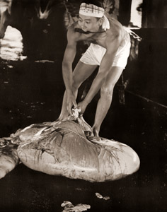 牛の胃袋をはこぶ男 [川島昌介, 日本カメラ 1956年2月号より]のサムネイル画像