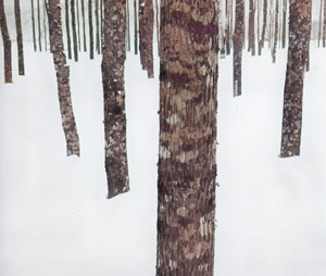 冬木立 [深瀬昌久, 日本カメラ 1956年2月号より]のサムネイル画像