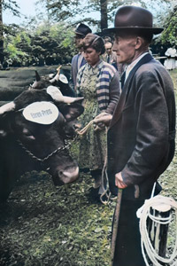 森の中1（ウェッツラーより） [木村伊兵衛, 日本カメラ 1956年2月号より]のサムネイル画像