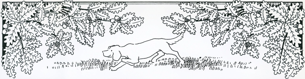 Plate 11 (Plants and Dog)