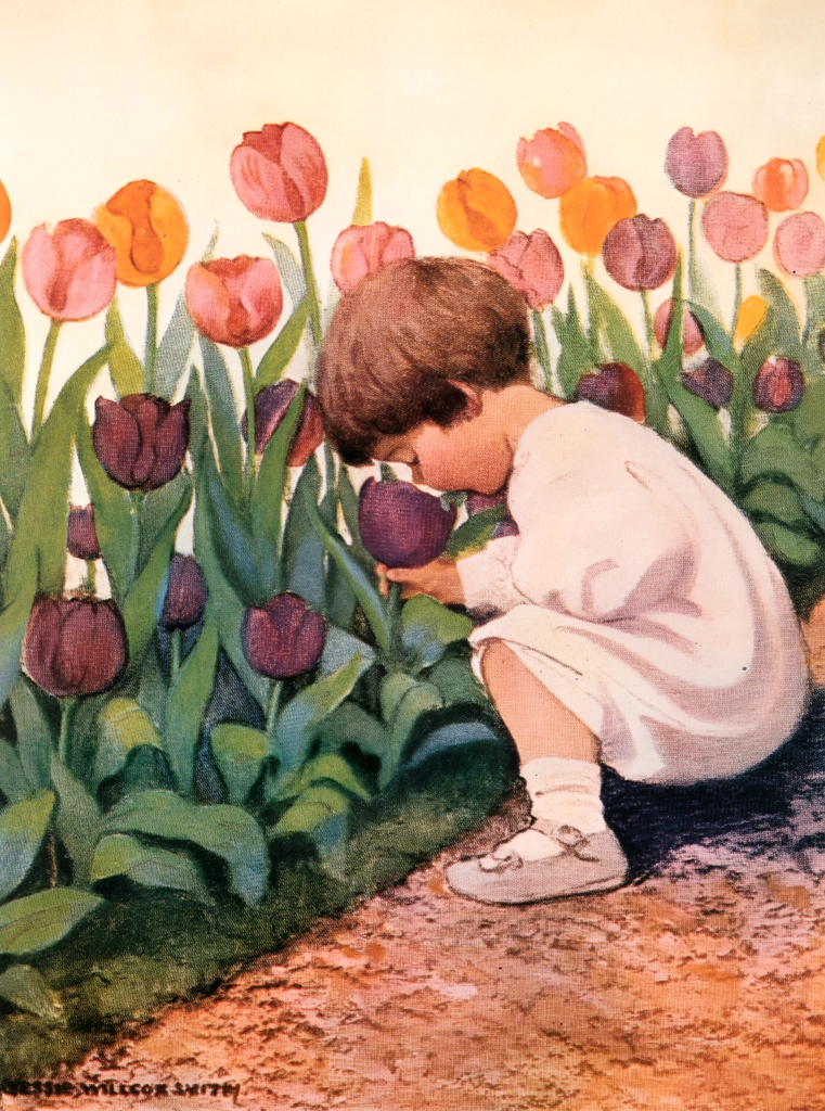 Tulip Time (A Very Little Child's Book of Stories by Ada M. and Eleanor L. Skinner)