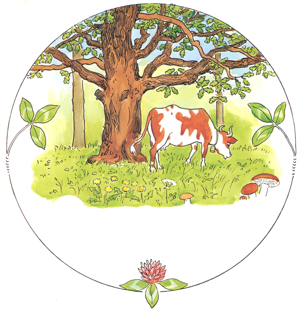 Plate 4 (Little little milk cow )