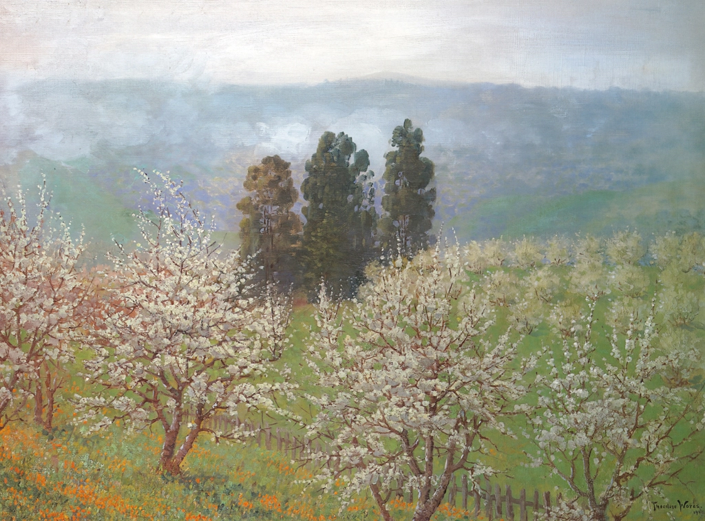 The Prune Blossoms of Saratoga, California