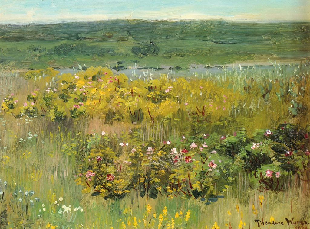 Wild Roses of the Prairie