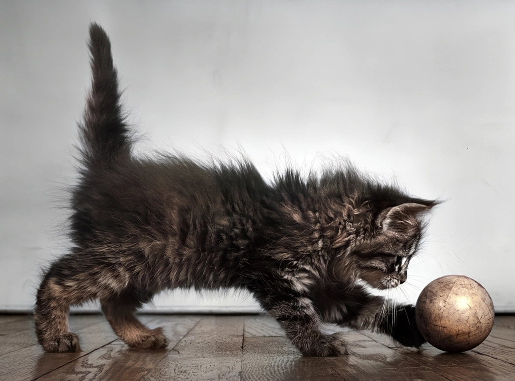 Untitled (Kitten Playing with Ball, AI Colorized)