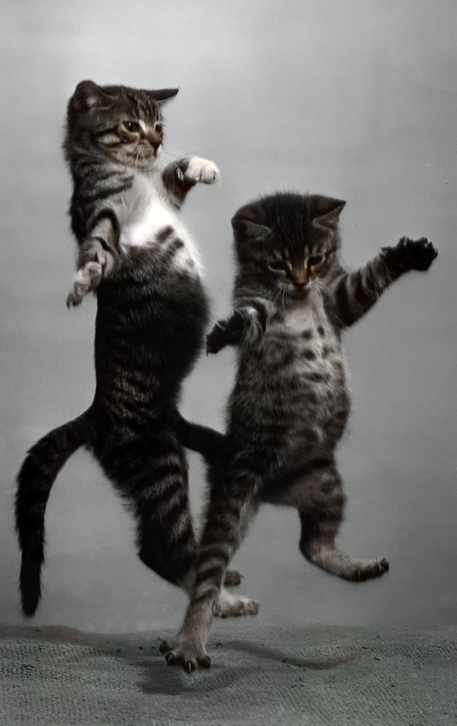 Untitled (Two Kittens Landing, AI Colorized)