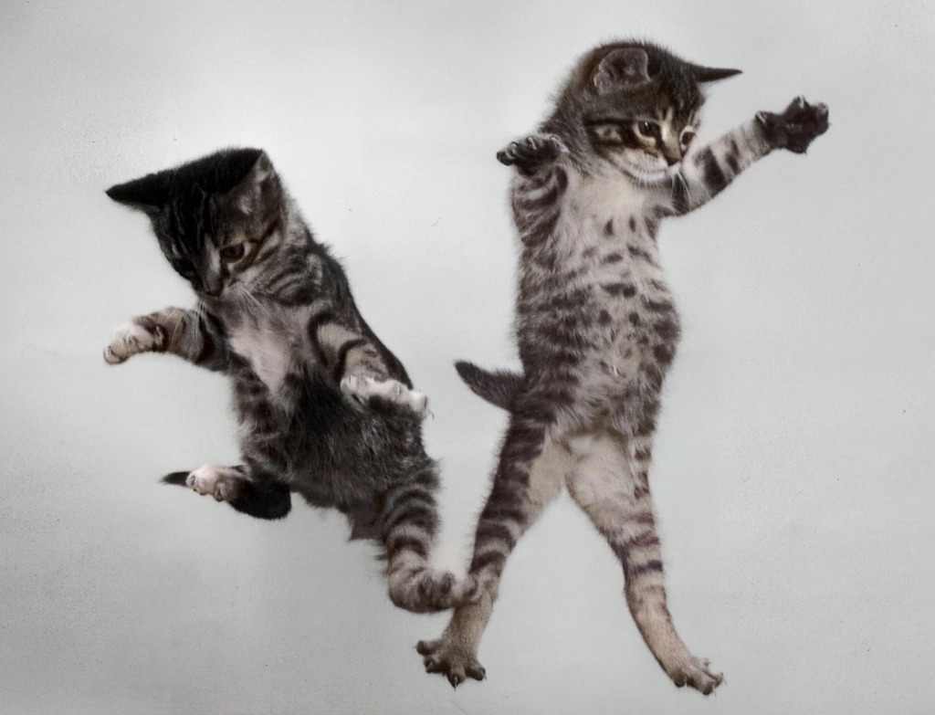 Untitled (Two Falling Kittens #2, AI Colorized)