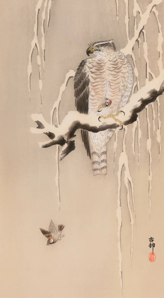 Goshawk and Sparrows