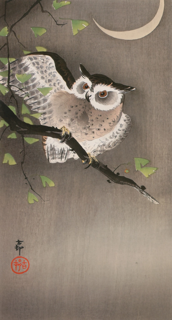 Horned Owl with Moon