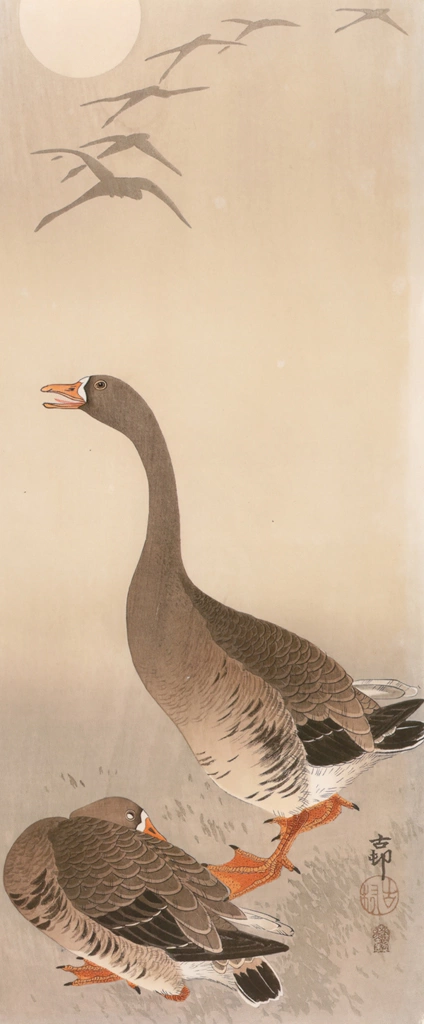 Greater White-fronted Geese with Moon