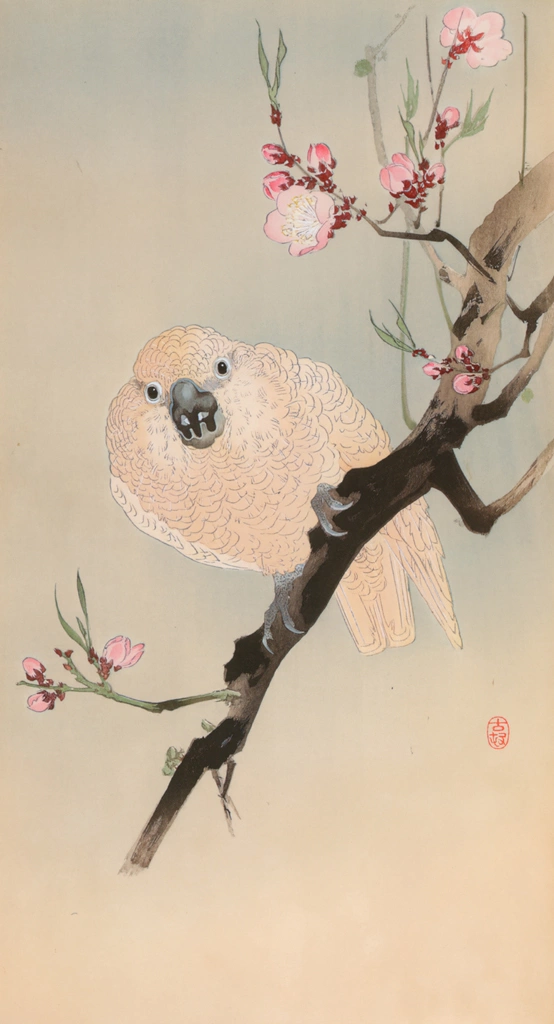 Parrot and Peach Blossoms