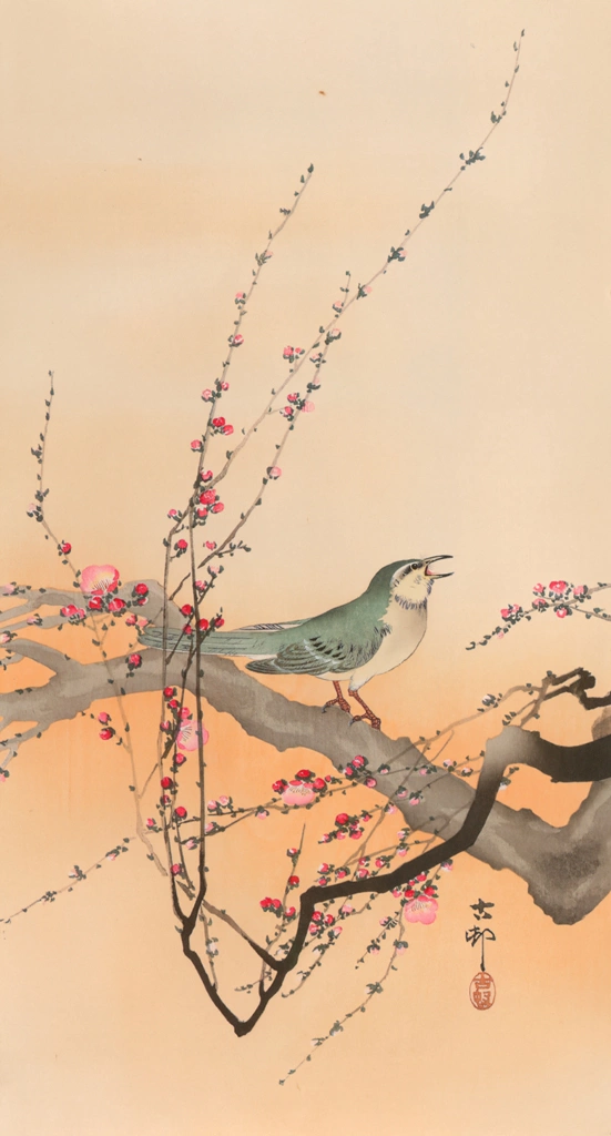 Japanese Bush Warbler and Japanese Plum