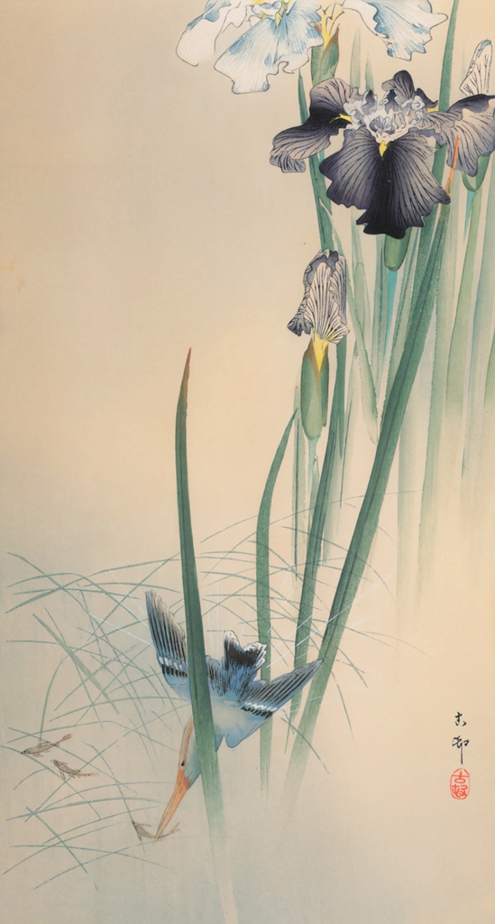 Iris and Kingfisher