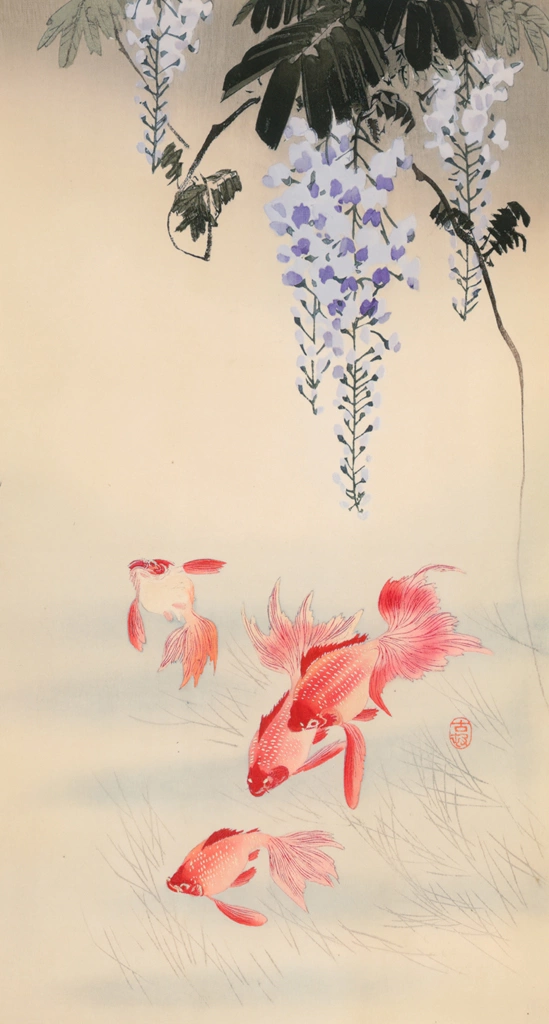 Goldfish and Japanese Wisteria