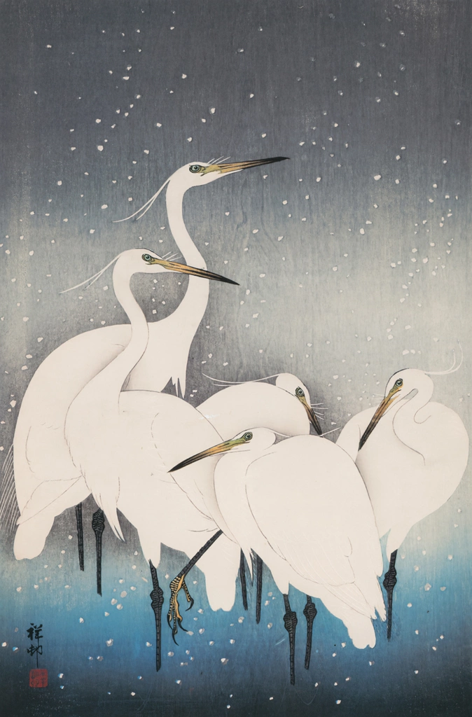 Egrets in Snow