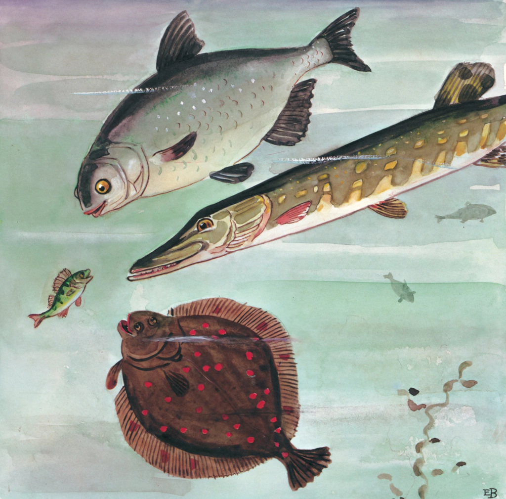 Plate 2 (Fish Talking ｔo Small Fish)