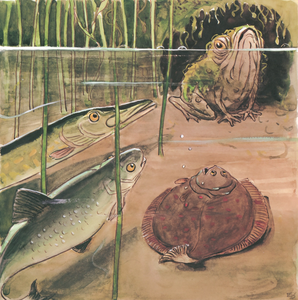 Plate 7 (A Frog and Fish)