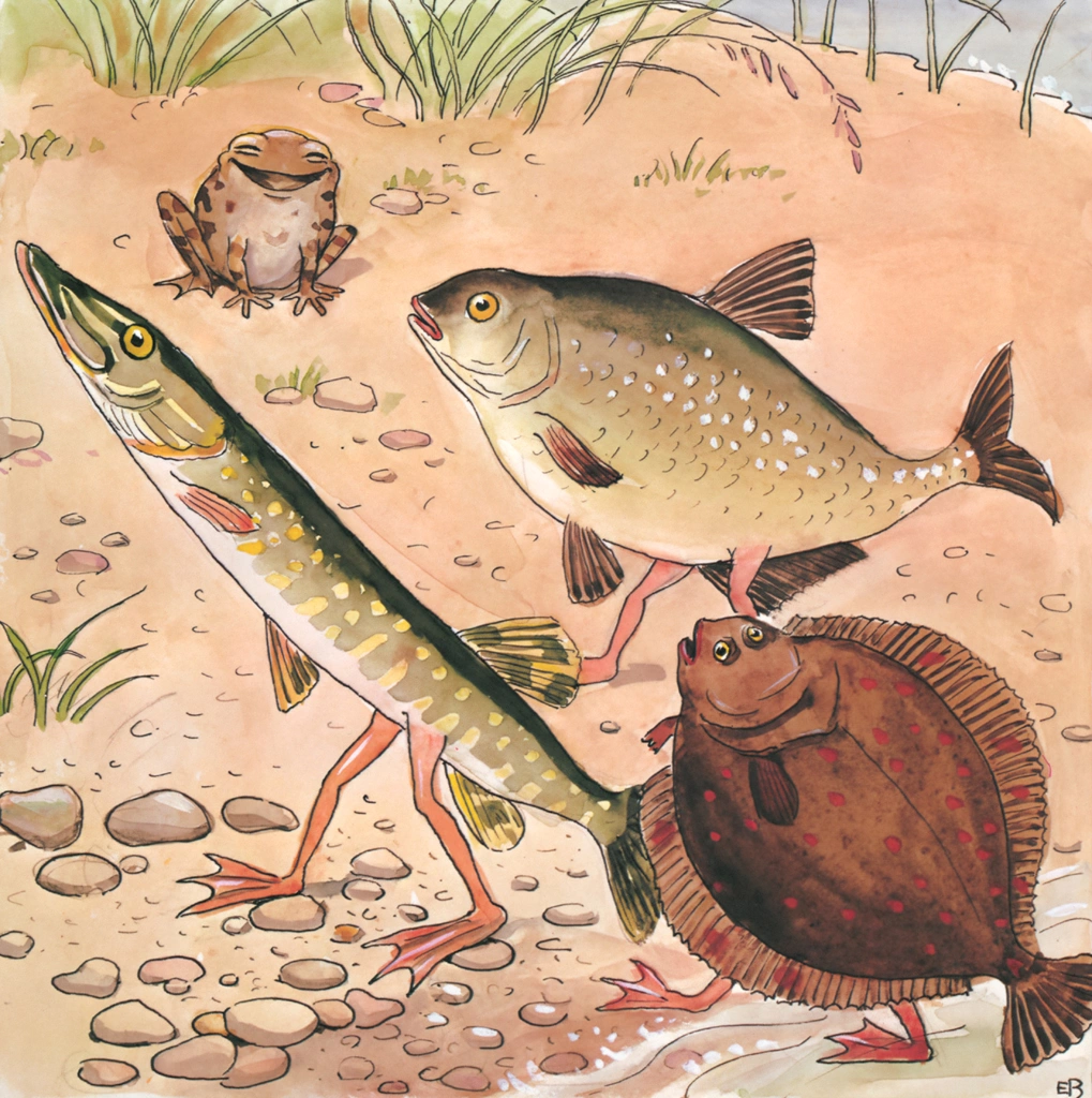 Plate 8 (Fish Coming Ashore)