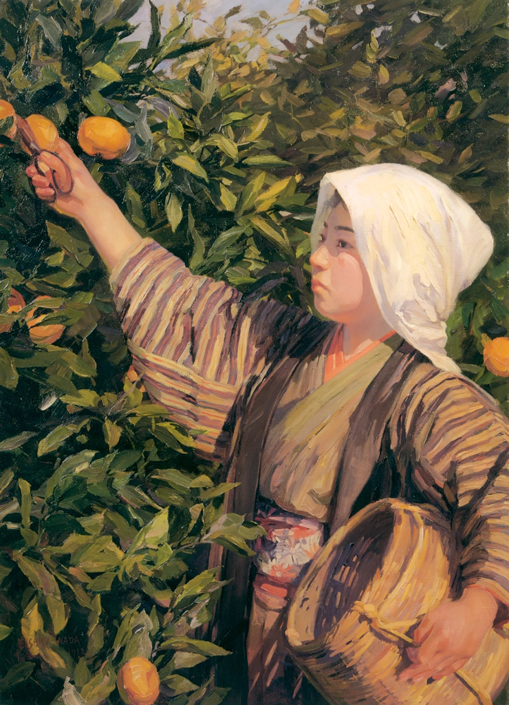 A Girl Picking Oranges